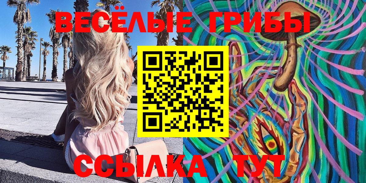 Псилоцибиновые грибы Psilocybine cubensis  где найти наркотики  Галлюциногенные грибы прущие грибы  Кубинка  Вход с VPN 